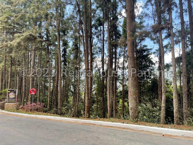 Beautiful Lot- Lote en Altos de María, Panamá